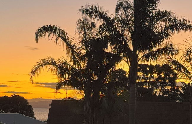 Comfort Inn Sunset - Foto 61