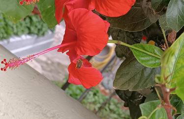 Seaside Apartment 2 - Photo 21