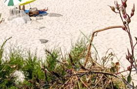 Villa Ty Mogué 4 étoiles Vue mer & SPA privatif, plage et Gr34 à pied - Photo 16