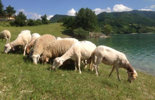 Casa con terrazzo vista Lago - LAKEHOLIDAY - Foto 57