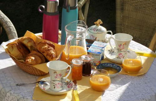 Vue sur Chateau et Loire - Foto 19