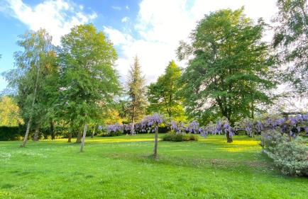 Villa Giulia - Marguareis - Foto 34