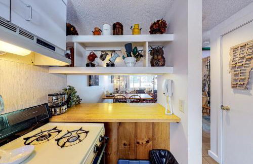 Village Green Unit 8F - Foto 8