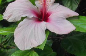 La Playa Del Sol Tropea - Foto 38