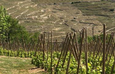 Condrieu et parking voiture vélo 2 ème étage - Foto 24