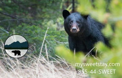 Liv at The Lake - Sinclair - Foto 33