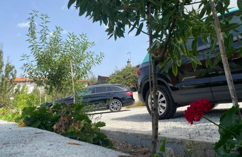 Chez Ilda - Casa da Ilda Alojamento Local - Foto 17