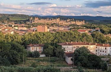 Appartment - vue imprenable sur la cité médiévale - Parking gratuit - Climatisé - Foto 1