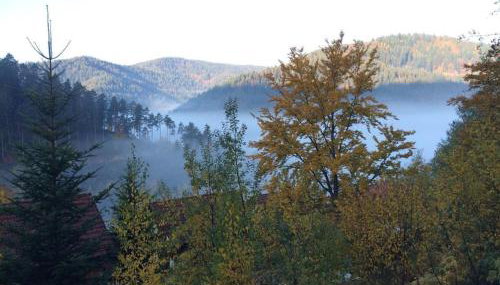 Holiday home in Hornberg with swimming pool - Foto 4, Other