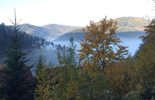 Holiday home in Hornberg with swimming pool - Foto 4