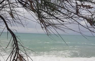 Studio Diadéma Armor - Foto 23