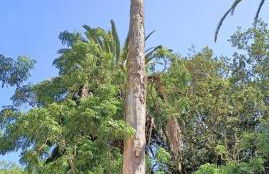 Casa emblematica en entorno de cuento - Foto 29