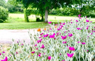 Spacious country house in Normandie - Foto 36