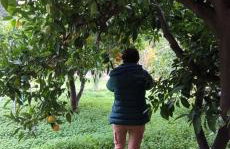 Garden house - Photo 61