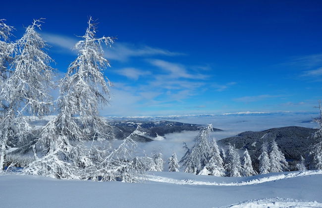 Parkweg Lodge - Foto 39