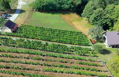 The Cozy Chalet - Foto 65