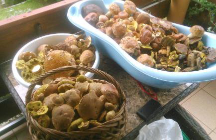 Apartament TARA - Foto 36