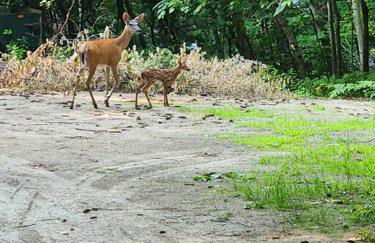 NEW! Peaceful Retreat at Nary Hill - Photo 27