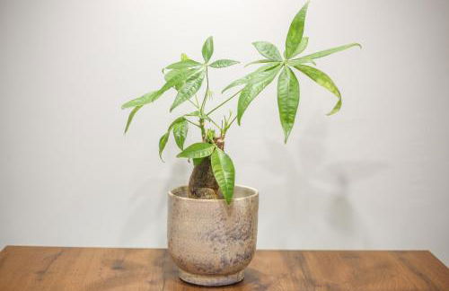 Modern and Luxury apartment - Foto 25