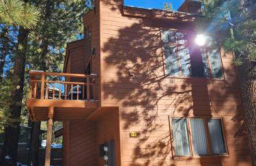 Updated Mammoth condo on Red line - Photo 16