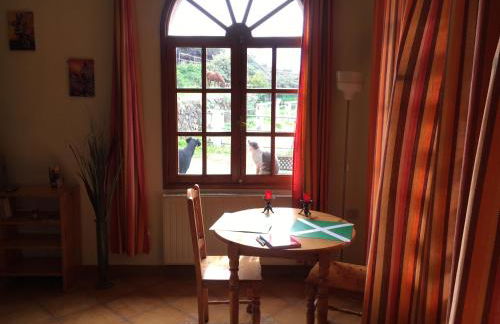 Finca AliBaba - Foto 41