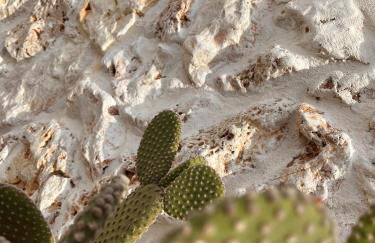 Antica Dimora "Lu suli, Lu mari, Lu jentu" - Foto 57