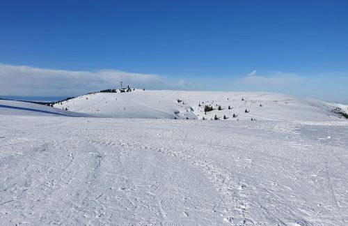 Enjoy Ferienwohnung Feldberg Grafenmatt - Foto 24
