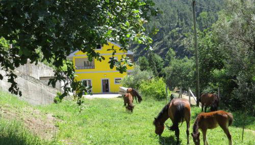 Quinta Machado Da Pedra Bela - Foto 3