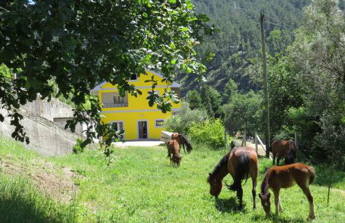 Quinta Machado Da Pedra Bela - Foto 3