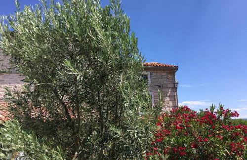 Beautiful stone house in Istria - Photo 6