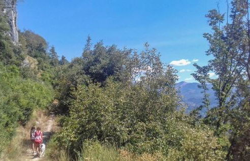 2 Bedroom Stunning Home In Palagnana - Foto 19