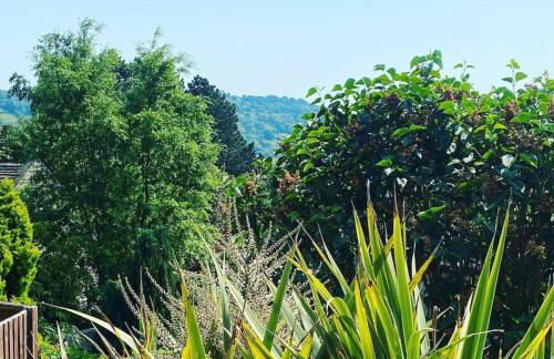 Helter Skelter Matlock - Foto 31