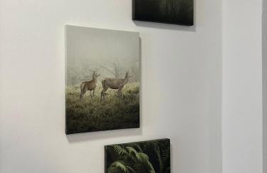 Ferienwohnung "FeWo am Bach" - Pegnitz - Foto 7