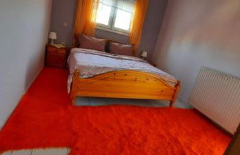 River House - Photo 36