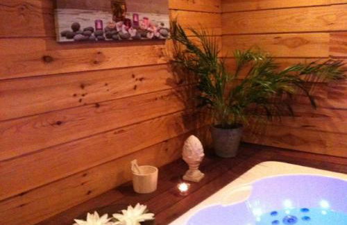 Domaine de Label, Spa, massages - Foto 75