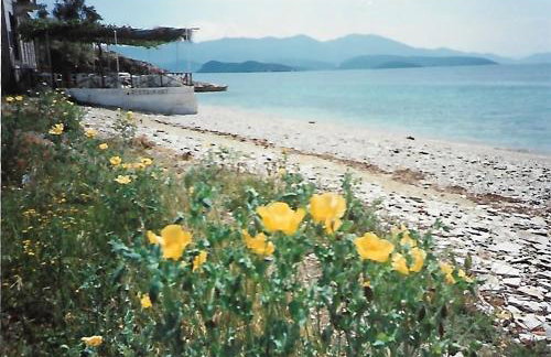 Epavli Sofia' s two Apartments in Horto, 30m from the sea - Foto 60