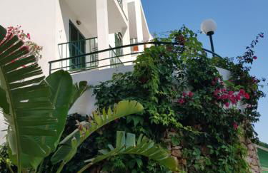 The Desmais - Foto 108