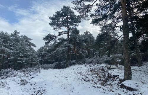 Casa La Fontana Bronchales - Foto 14