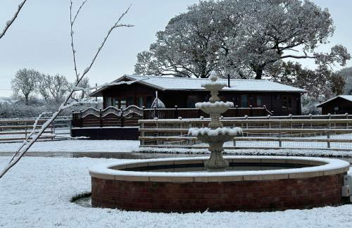 The Lodge - Photo 37