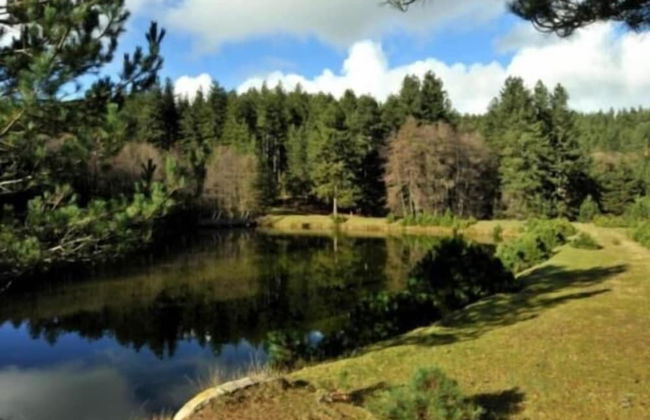 La Casa di Chiaretta - Foto 23