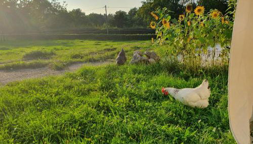 Eifel Glück - Foto 5