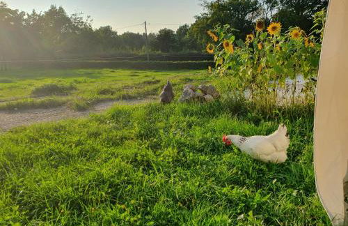 Eifel Glück - Foto 5