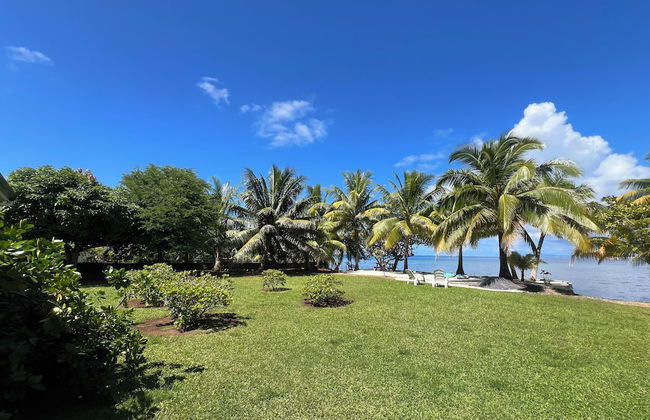 Fare Mama Rota - Photo 33