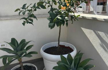 Appartamento La Brogna - Mazara del Vallo Centro - Foto 21