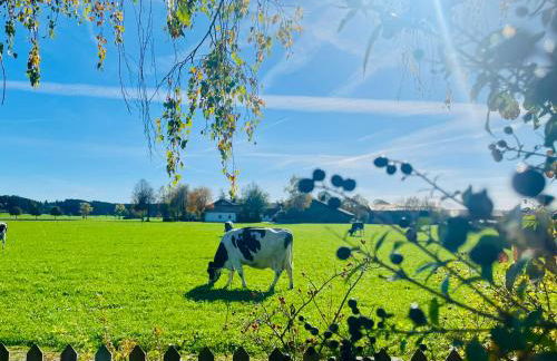Charmantes Ferienhaus Luise im Allgäu - Foto 35