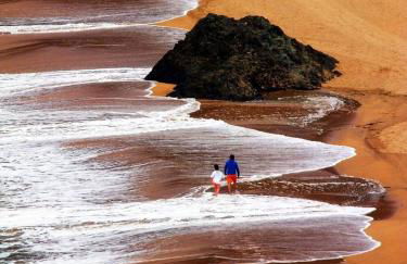 Amalur EBI 741 URDAIBAI - Photo 67