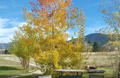 Peaceful Vacation Getaway, Private Yard, Hot Tub, 360 Views, Cozy Cottage in the heart of the Bitterroot Valley, Sage Cottage 406 - Foto 30