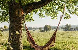 Staudingerhof - Photo 44