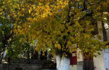 Christina's Village Home - Foto 21