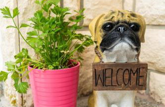 Apartman Domy - Photo 29